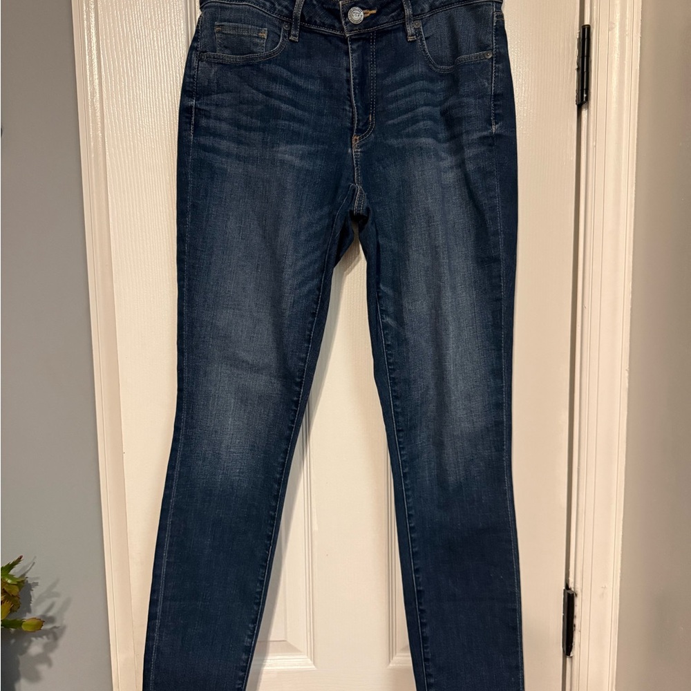 Ann Taylor LOFT skinny curvy